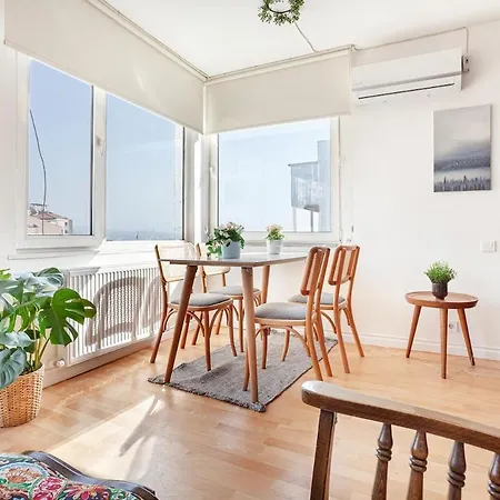 公寓 Magnificent View Great Location 伊斯坦布尔